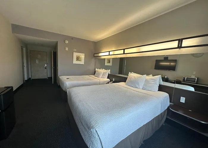 Microtel & By Wyndham Downtown - River Area Quincy