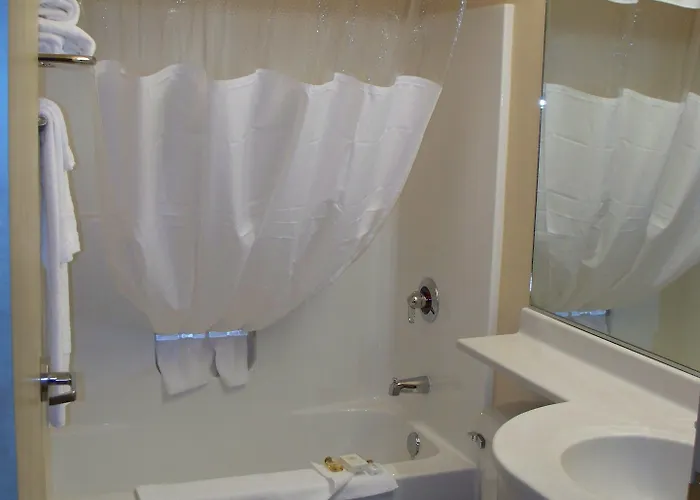 Microtel & By Wyndham Downtown - River Area Hotel 3*